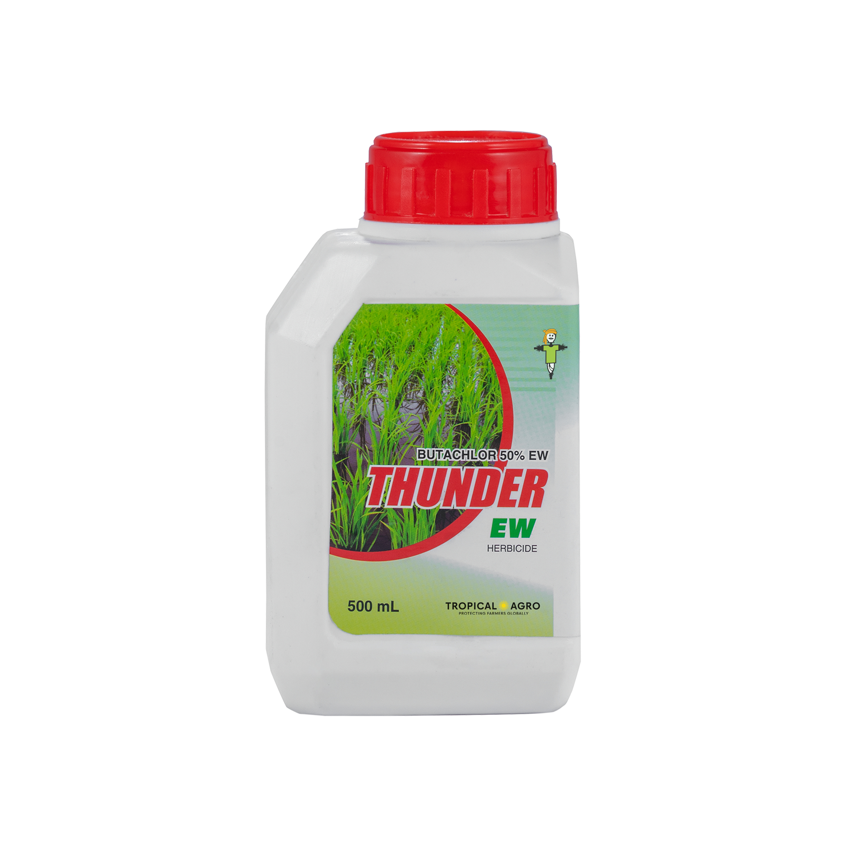 scientific name of areca palm Areca Palm (Dypsis Lutescens)