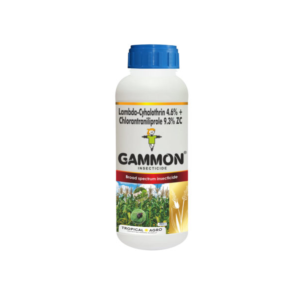 5 letter words with gammon