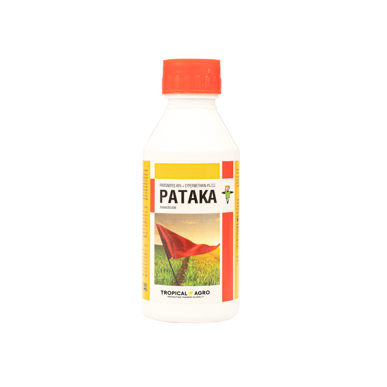 Pataka Tea PATAKA | Tropical Agro